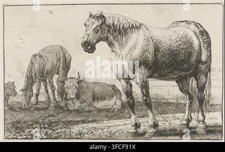 Cavalli e mucche, Zoographiam, Animali, stampa, incisore: Jan van den Hecke (I), Bruxelles (forse), 1656, carta, incisione, prova di stampa, altezza 100 mm x larghezza 160 mm, cavallo, mucca. Un'incisione monocromatica dettagliata mostra un gruppo di animali che pascolano e si riposano in un paesaggio recintato; un grande cavallo si trova in primo piano con una folta criniera e una muscolatura visibile, un secondo cavallo pascola con la testa abbassata nelle vicinanze, e un bovino cornuto giace a terra tra di loro con una postura rilassata; una piccola testa di animale è visibile all'estremità sinistra. Il terreno davanti ha piante strutturate e suolo irregolare, e il Foto Stock