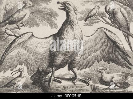 Aquila, Vari uccelli, stampa, pagina del titolo, Un'aquila con le ali spiegate, circondata da vari uccelli., incisore: Wenceslaus Hollar, Londra, dopo il disegno di Francis Barlow, Inghilterra, editore: Peter Stent, 1654, carta, acquaforte, altezza 136 mm x larghezza 186 mm, uccelli., Un'illustrazione dettagliata in bianco e nero mostra un grande uccello centrale con le ali spiegate in piedi con artigli visibili, circondato da un gruppo di uccelli più piccoli appollaiati su rami e a terra; gli uccelli mostrano forme di becco variate e texture di piume, con fogliame degli alberi schizzato in sottofondo e sfumature delle piume a strati Foto Stock