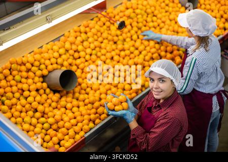 Due lavoratrici allegre tengono nelle loro palme i tangerini freschi e maturi. Vista dall'alto. Foto Stock