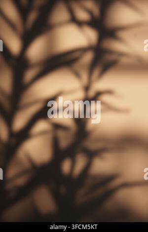 Vista verticale artistica di ombre di foglie tropicali morbide su uno sfondo dorato caldo. Estetica minimalista per un design d'interni sereno o temi benessere. Foto Stock