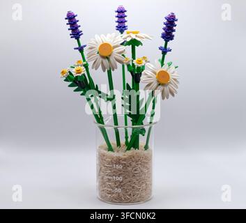 Set di mattoncini Lego Botanicals margherite isolati su sfondo bianco. Foto Stock