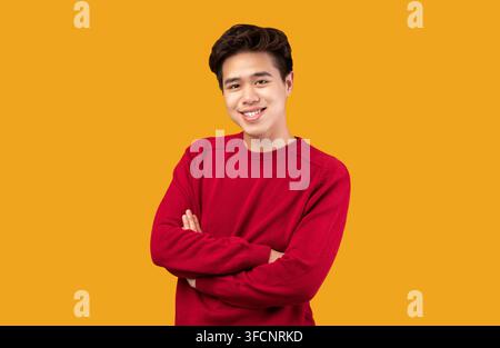 Ritratto di attraente ragazzo asiatico in posa in studio Foto Stock