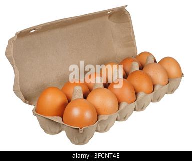 Dodici uova marroni in cartone isolati su sfondo bianco Foto Stock