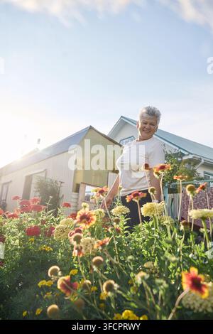 Anziana sorridente tra fiori colorati nel suo giardino sul retro Foto Stock