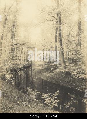 Paesaggio di foresta e torrente, fotografia, fotografo: attribuito a Richard Tepe, Paesi Bassi, ca. 1900 - ca. 1930, Attribuito a, carta, stampa a carta salata, stampa all’albumina, stampa al sale su carta fotografica, altezza 208 mm x larghezza 159 mm., Una fotografia seppia di una scena di foresta fitta con alberi alti e snelli e numerose ramificazioni sottili e foglie che riempiono il quadro, mostrando una dolce pendenza coperta di lettiera e sottobosco. Un torrente scuro e stretto attraversa la parte inferiore dell’immagine, riflettendo i tronchi e il fogliame sopra. Sull’argine vicino, piccole piante e foglie sporgono sull’acqua. Nel Foto Stock