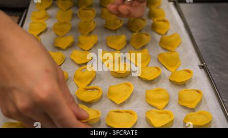 Lo chef posiziona con cura file di tortelli e ravioli appena fatti, mostrando il processo dell’artigianato culinario tradizionale italiano Foto Stock