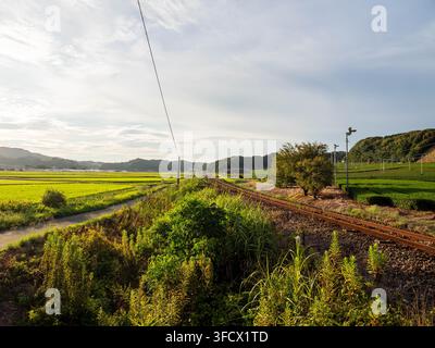 Strada, binari ferroviari e campi di tè a Yamada, Fukuroi, Shizuoka, Giappone, fotografati il 28 agosto 2026. Foto Stock