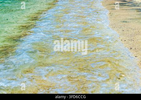 Prima vista di dolci onde dell'Oceano Atlantico che si infrangono su una spiaggia sabbiosa in acque chiare e basse. Gran Canaria. Spagna. Foto Stock