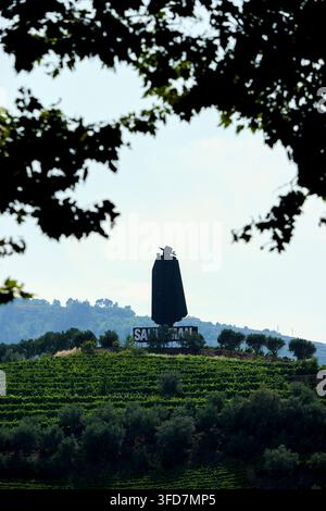 Insegna pubblicitaria e logo Sandeman, Peso da Regua, Valle del Douro, Portogallo, Europa Foto Stock