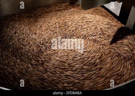 Il braccio rotante di un vassoio di raffreddamento mescola chicchi di caffè tostati in un motivo a spirale, catturando i chicchi nel mezzo del mescolamento mentre si raffreddano dopo la tostatura. Foto Stock