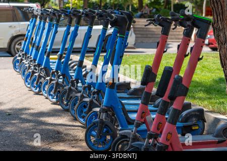 Una flotta di scooter elettrici condivisi, alcuni blu e altri rosa, sono allineati ordinatamente su una superficie pavimentata vicino a un'area erbosa e un albero Foto Stock