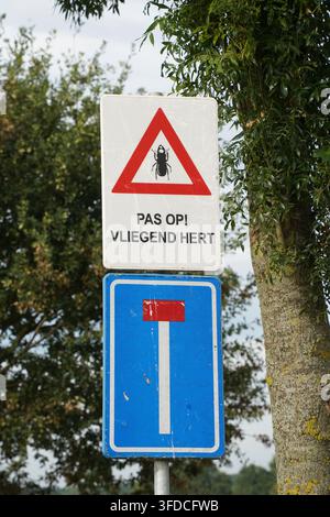 Registratevi in olandese, dicendo attenzione agli scarabei Stag, per la protezione, Limburgo, Paesi Bassi. Foto Stock