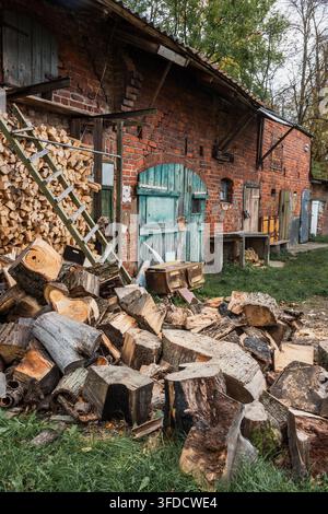 Scena rurale rustica nell'oblast di Kaliningrad: capannone in mattoni, legna tagliata Foto Stock