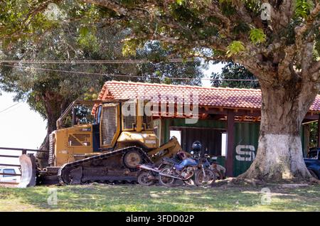 Bulldozer giallo parcheggiato accanto a un capannone per container di spedizione e a un grande albero sotto una luce solare intensa Foto Stock