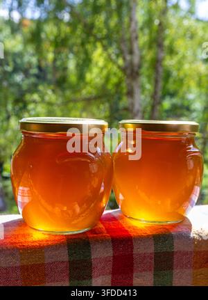 Due barattoli di miele puro che brillano nella calda luce del sole su uno sfondo verde naturale sfocato, scena rustica estiva. Foto Stock