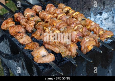 Filiera di spiedini di shashlik al pollo e al maiale marinati che si arrostiscono su carboni ardenti su una griglia mangal in metallo nero a una fiera all'aperto. Vista ad angolo alto evidenzia Foto Stock