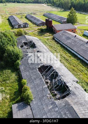 Vista aerea di un complesso agricolo abbandonato dell'era sovietica con tetti crollati e edifici rurali in rovina, immersi tra campi invasi dalla vegetazione a Kulciems, Foto Stock
