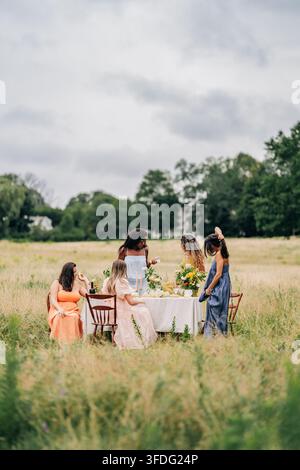Amici diversi che godono di un elegante picnic in un campo Foto Stock