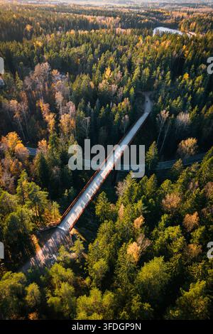 Vista aerea di un ponte pedonale che attraversa una strada attraverso una fitta foresta con fogliame autunnale a Sipoo, Uusimaa, Finlandia. Foto Stock