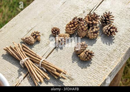 Prima piano ad angolo alto di pigne secche e legnetti legati su una tavola di legno rustica alla luce del sole splendente. Foto Stock