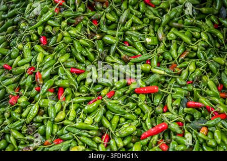 Una vista vivace e in primo piano di un'abbondante raccolta di piccoli peperoncini piccanti, che mostra le loro texture e colori naturali Foto Stock