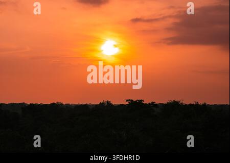 Silhouette all'alba sulla foresta pluviale amazzonica in Ecuador con un cielo arancione vibrante Foto Stock