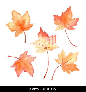 Set di illustrazioni isolate di aceri autunnali ad acquerello. Clipart botanici disegnati a mano di fogliame arancione e giallo per decorazioni autunnali, Ringraziamento, stat Foto Stock