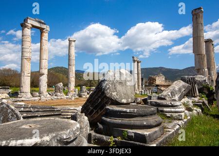 Vista panoramica dell'antico tempio di Afrodite con colonne in piedi ad Afrodisia Foto Stock