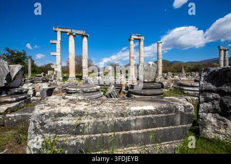 Vista panoramica dell'antico tempio di Afrodite con colonne in piedi ad Afrodisia Foto Stock