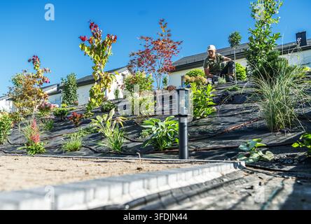 Una vista bassa risale un giardino in pendenza coperto da tessuto antierba e tubi di irrigazione. Un giardiniere lavora tra alberi e arbusti appena piantati nelle vicinanze Foto Stock