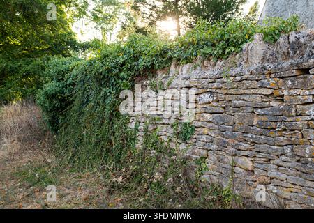 Vista prospettica di un muro di pietra secca erosato costruito con lastre di calcare impilate, densamente ricoperto di edera verde e viti rampicanti lungo la parte superiore a Foto Stock
