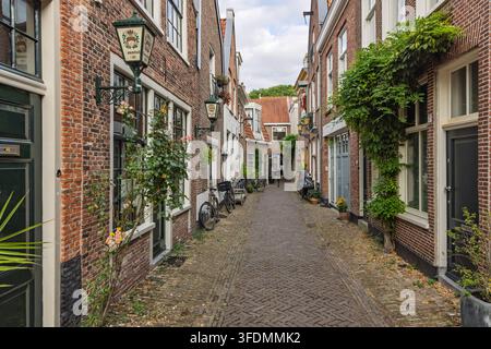 Haarlem, Paesi Bassi – 16 agosto 2026: pittoresca stradina acciottolata fiancheggiata da case in mattoni, piante in vaso, lanterna e biciclette. Foto Stock