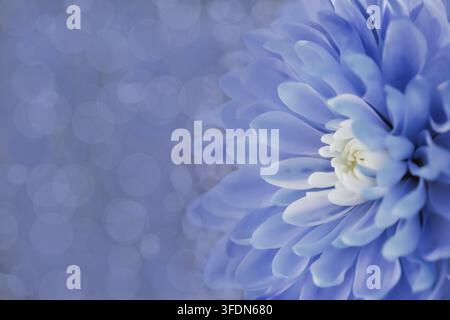 Astratto artistico profondo: sfocatura marcata sui petali che crea una ricca texture di sfondo viola e blu. Questa immagine presenta una forte saturazione del colore e morbidezza Foto Stock