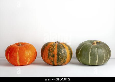 Un gruppo di tre zucche con colori e motivi vari disposti in fila su una superficie bianca, ideali per i temi autunnali e della raccolta Foto Stock