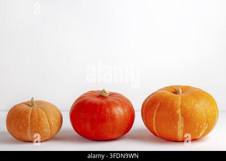 Composizione minimalista di tre zucche luminose in diverse forme e sfumature di arancione e rosso su sfondo bianco. Verdure della raccolta autunnale sy Foto Stock