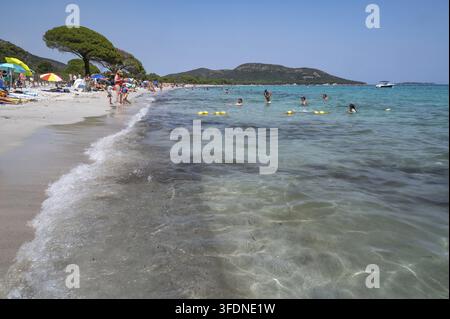 Spiaggia da sogno estiva Plage de Palombaggia sul Mediterraneo con acqua cristallina blu turchese, onde gentili, sabbia bianca e bagnanti in acqua a Foto Stock