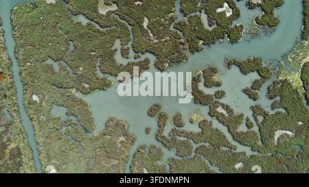 Vista aerea delle paludi e dei corsi d'acqua sinuosi del Parco Nazionale di Butrint, con una vegetazione rigogliosa e canali d'acqua calmi a Ksamil, V Foto Stock