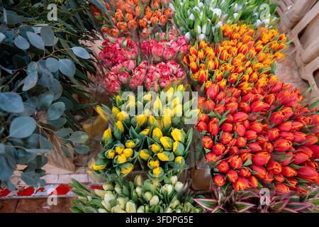 Mazzi di tulipani luminosi disposti su un vivace banco del mercato dei fiori, che mostrano fiori gialli, rossi, arancioni e rosa con fogliame verde e pellicola di plastica Foto Stock
