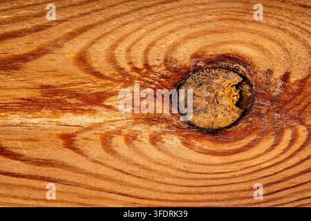 Macro dettagliata di una superficie di tela di falegnameria in legno levigata con venature. Foto Stock