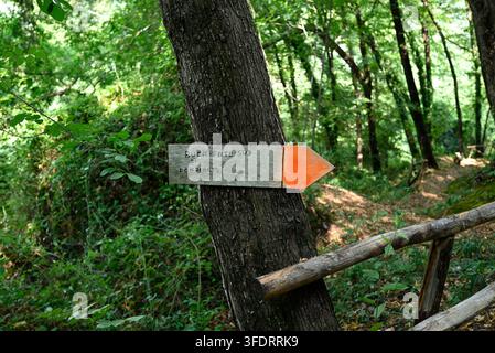 Segnaletti di directory in legno italiano. Cartelli in legno al parco archeologico Piano di Mommio, Massarosa, Toscana, Italia. Foto Stock