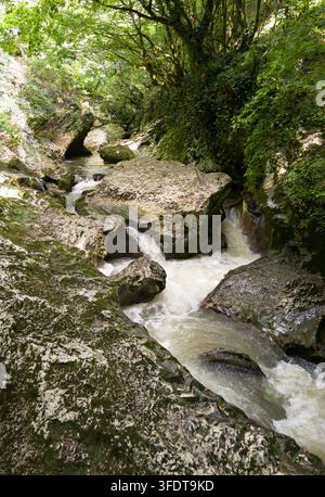 Una fotografia verticale di un ruscello dal flusso rapido che si precipita attraverso una gola rocciosa in una foresta lussureggiante. L'acqua cade a cascata su grandi rocce di calcare strutturate Foto Stock