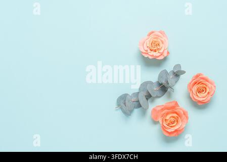 Composizione floreale di rose rosa e ramo di eucalipto su sfondo di carta pastello blu. Vista dall'alto, disposizione piatta Foto Stock