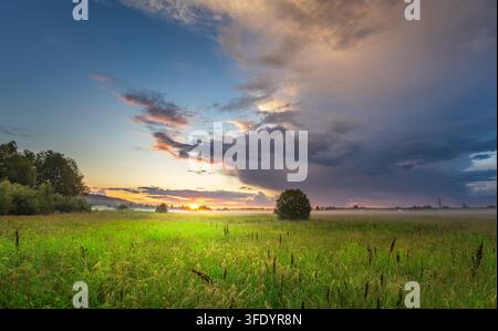 Il sole dorato tramonta su un'ampia prateria verde. Nuvole scure incombono nel cielo sopra l'orizzonte Foto Stock