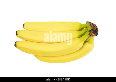 Bananche mature in disposizione naturale sovrapposta, legate in cima con uno stelo verde, colore giallo brillante e texture liscia, superficie lucida un Foto Stock