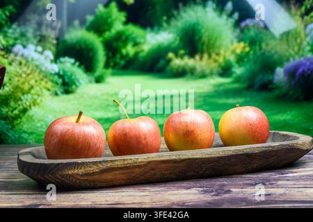 Quattro mele Gala rosse e gialle disposte in una lunga vasca di legno rustica su un tavolo, con uno sfondo luminoso e sfocato di giardino e spazio utile per il testo. Foto Stock