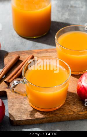 Caldo succo di mele speziato autunnale in una tazza per l'autunno Foto Stock