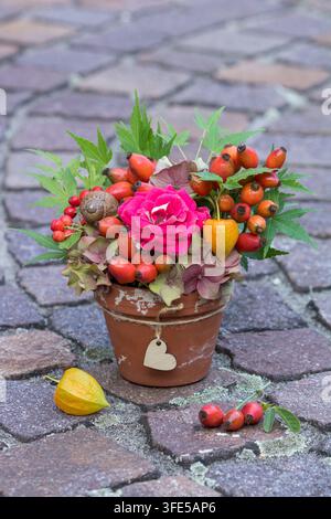 Composizione floreale con una rosa rossa, bacche di rose, fiori di ortensia, physalis e foglie d'acero in un vaso di terracotta Foto Stock