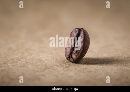 Macro close-up di un singolo chicco di caffè tostato con spazio libero minimo Foto Stock