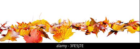 mucchio di foglie autunnali colorate isolate su sfondo trasparente Foto Stock