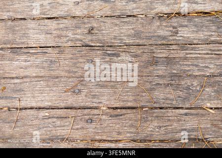 texture di legno rustico con motivo naturale come sfondo. Foto di alta qualità Foto Stock